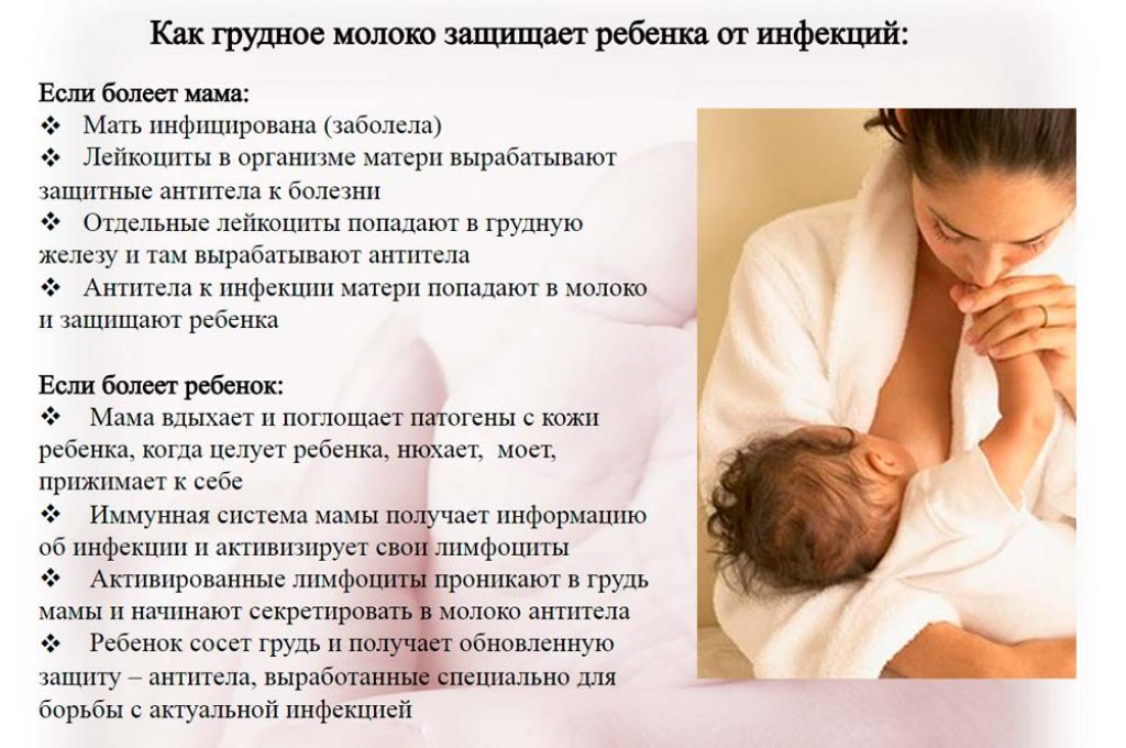 Как защищает грудное молоко младенца?