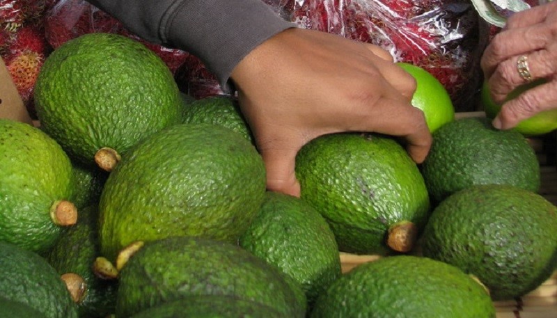 Как выбрать спелый авокадо в магазине